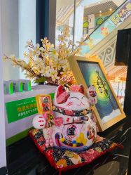 -IDESIGN艾迪赛 美学