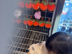 -巴依老爷新疆美食(清华东门店)