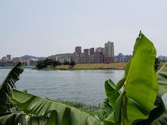 -顺德了能馆(虎门店)