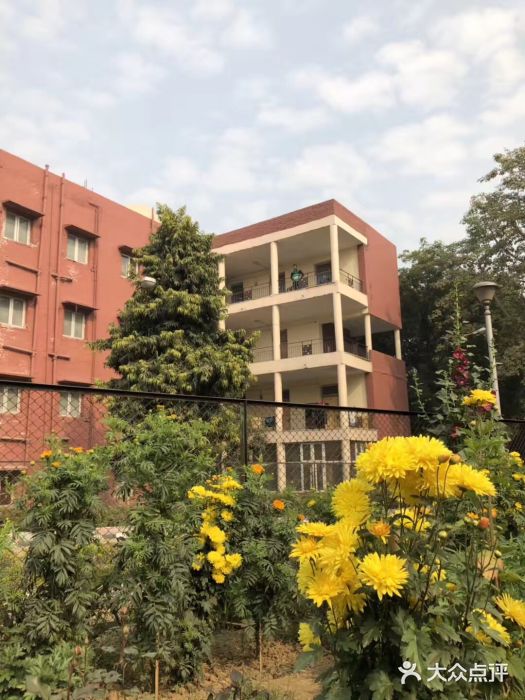 德里印度理工学院图片