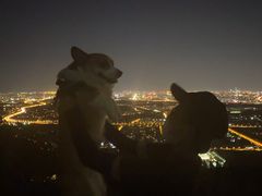 -鬼笑石后山停车场
