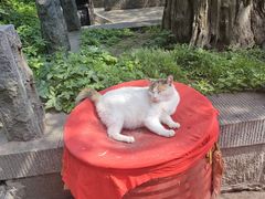 -泰山风景名胜区