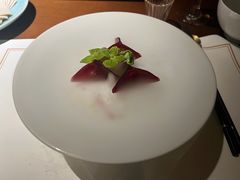 -觀芷隐轩