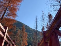 -广州市石门国家森林公园