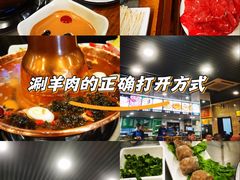 -马记伊源斋涮肉·清真菜(潘家园古玩市场店)