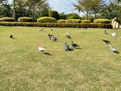 -白鹭洲公园