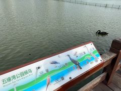 -五缘湾湿地公园