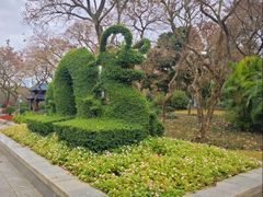 -金花茶公园