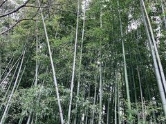 -汇龙潭