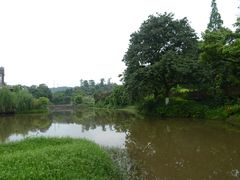 -张坝桂圆林公园