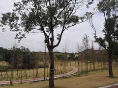 -牛岗山公园