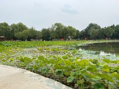 -太阳宫公园