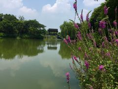 -西溪国家湿地公园