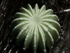 -山外山·林语花园餐厅