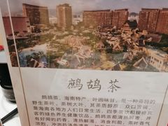 -海南椰子鸡餐厅(三亚湾红树林店)