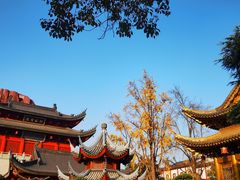 -上海东林寺(金山区)