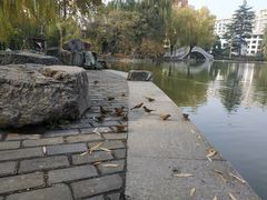 -西安市长乐公园