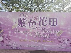 -龙环葡韵住宅式博物馆