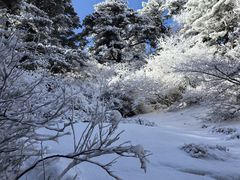-华山风景名胜区
