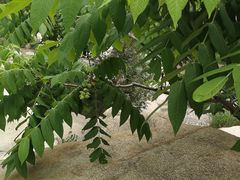 -碓臼峪自然风景区