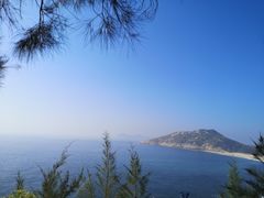 -广东惠东海龟国家级自然保护区