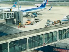 -全日本空输株式会社(上海办事处)