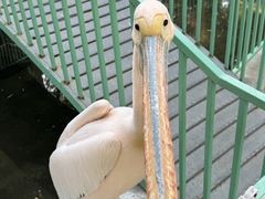 -水上乐园·欢乐世界