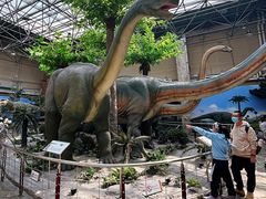 -国家自然博物馆