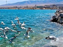 -青海湖国家重点风景名胜区