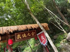 -刘伯温故里景区百丈漈