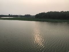 -大兴滨河森林公园