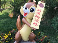 -欢乐松鼠谷