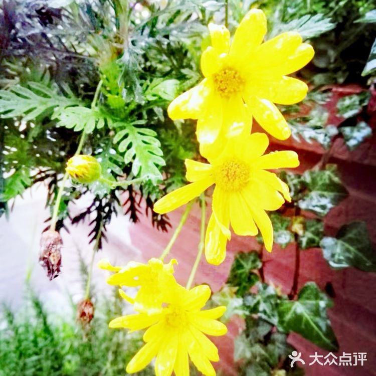 定能在草木闲情的光阴里 读四季如诗 寻花开花落