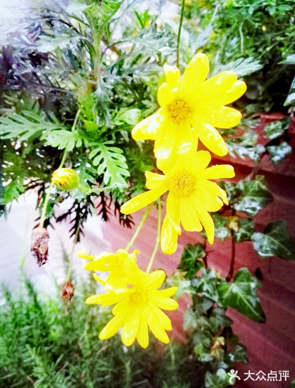 定能在草木闲情的光阴里 读四季如诗 寻花开花落