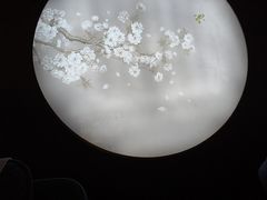 -华夏良子·足道SPA养生(上海崮山路明悦店)
