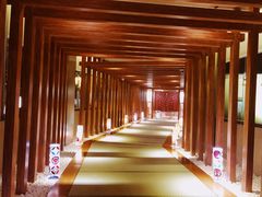 -重庆南山海昌汤都