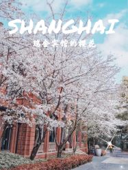-上海瑞金洲际酒店·宴会厅