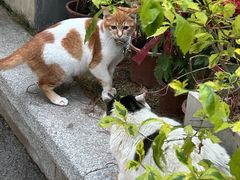 -荔湾湖公园