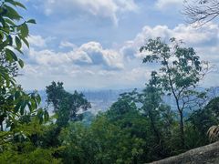 -阳台山森林公园