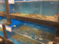 -华盛丰温州大排档(东三环南路店)