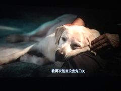 -博纳国际影城(凯德广场店)