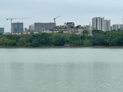 -广东花都湖国家湿地公园