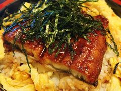 -日本料理神拉面