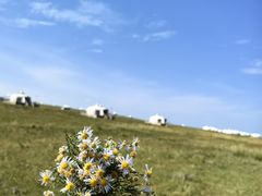 -呼和诺尔旅游景区