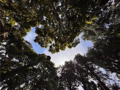 -都江堰普照寺