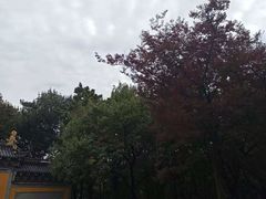 -张鸟园农家乐(张鸟园店)