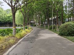 -泰州凤城河风景区-泰山公园