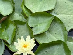 -昆山城市生态森林公园