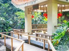 -银湖山郊野公园-相思林