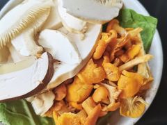-野菌皇海景野生菌火锅(滨海大道店)